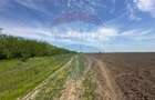 Teren 138.104 mp Dragomiresti-Vale, Ilfov, langa A0 - 3