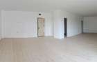 Apartament 1 camera in Baile Felix - 5