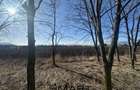 Teren Intravilan 60.000mp - 2