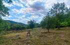 Teren Intravilan de vanzare 3551mp Poiana Copaceni Com Gura Vitioarei - 22