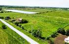 Teren generos si versatil - 10.850 mp | Balta Blonda | Diverse proiecte - 5