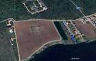 Teren de 6.303mp cu acces direct la lac, între pădure și apă – Moara Vlăsiei - 1