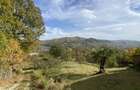Teren panoramic retras, cu panta lina, utilități si livada - 1