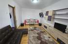 Brancoveanu-Izvorul Oltului, apartament mobilat si utilat modern, bloc reabilita - 8