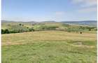 Teren Sercaia  250 ha - 5