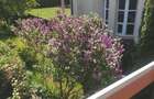 Casa 4 camere  Ghimbav - 1