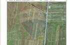 Teren 4,000mp DN1, Dubla Deschidere 50M - 3