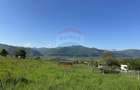 Teren Bistrita / Plopusor - 2
