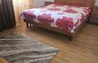 Apartament 3 Camere – Masina de Paine (Obor) | 3 min. Metrou - 4