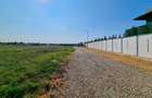 TEREN 762mp zona privata exclusivista Izvorani Delta Snagov la 100m lac - 3