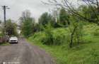 Teren intravilan 4383 Brad Hd.,poziție excelentă, utilități complete, priveliște - 2
