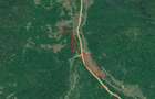Teren plat cu front mare la DN73A Rasnov- Predeal - 3