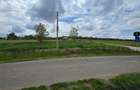 Teren intravilan Ardud Vii Satu Mare - 4