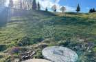 Teren 5000 mp-panorama spre Lac Colibita - 3