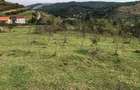 Teren Intravilan cuprins in PUG, 5100 mp, Tauti - 4