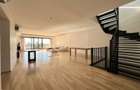 Triplex 5 camere gradina proprie - Herastrau - 3
