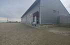 Spațiu industrial-depozit de 1120mp de închiriat în Dumbrăveni, SV - 4