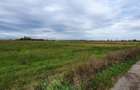PLOIESTI zona de Centura - intravilan industrial 23500 mp la 7 eu/mp - 2