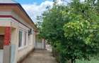 Proprietate cu 2 locuințe + spațiu comercial, 1175 mp teren – Islaz - 7