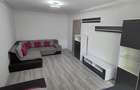 Inchiriere apartament 2 camere Teiul Doamnei - 11