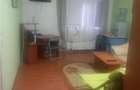SAGULUI- APARTAMENT 1 CAMERA - mobilat, utilat - 1