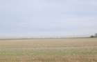Unicat ! A3 - Gherghita, 27 Ha. teren intravilan cu PUZ aprobat - 5
