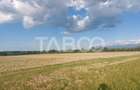 Teren extravilan 16500 mp front 47 m acces auto zona aerodrom Cisnadie - 3