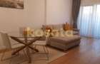 Apartament 2 camere de inchiriat Herastrau - 2