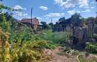 Zona Sarbi – Targoviste - 5
