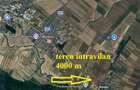 Alexeni teren intravilan 4000 mp - 1