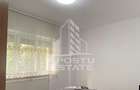 Apartament 2 camere de vanzare, zona Dambovita, Timisoara - 10