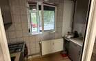2 camere - crangasi - vintila mihailescu - olanesti - 7