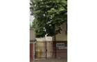 REA0131810 Apartament 2 Camere in Vila Complet Revovata - 16