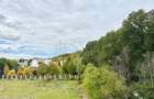 REA1026053 Apartament 2 camere Pipera Diamond Residence Piscina - 2