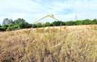 Teren de vânzare – 11.273 mp – zona Plopi, Timișoara Sud. - 2