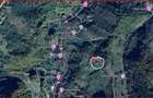 Teren, Zona de Interes Turistic-Cheile Gradistei,  8800mp - 3