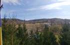 Vila/Pensiune,casa administrator,teren plat 2000Mp - 15