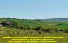 Bucium, 630 mp , 14000 euro,NUMAI 6 km din Iași, ZONĂ SUPERBĂ!!! - 4
