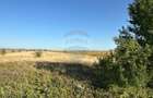 Teren extravilan de vânzare – 19.963 mp, E68 Mândruloc–Vladimirescu - 8
