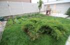 APARTAMENT LA PRIMA INCHIRIERE - 12