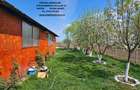 Proprietate Slobozia-Roznov, casa mansardata, teren si livada - 18