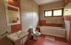 Casa individuala 4 camere 200mp, terasa cu gradina, Buna Ziua, Grand Hotel Itali - 9