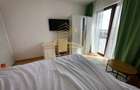 Penthouse 3 camere| terasa 100 mp | Intre Lacuri | Pet Friendly - 5