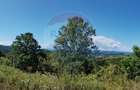 Teren 3,871mp Varmaga / None - 15