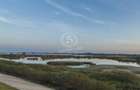 Teren intravilan, Cornetu, Ilfov – 4.400 mp - 5