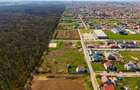 Teren construibil Dumbravita | langa Padurea Verde | Comision 0% - 15