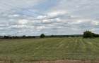 Teren intravilan 20.000 mp | DJ 602 la stradă | 55 ml deschidere | Ciorogârla - 5