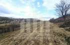 Teren intravilan | De vanzare | 12211 mp | Geogiu de Sus - 3