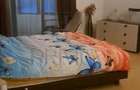 BRAYTIM, CASA INDIVIDUALA D+P+ E+ pod, 6 CAMERE, 4 BAI, DRESSING - 7
