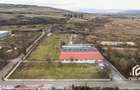 De vânzare Hală 1450mp producti industrial 18.500mp teren Călan Jud Hd - 21